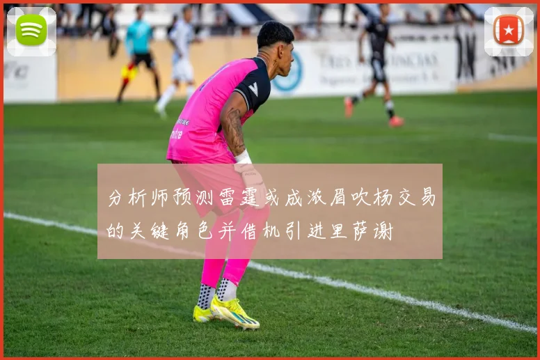 分析师预测雷霆或成浓眉吹杨交易的关键角色并借机引进里萨谢