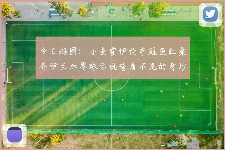 今日趣图：小麦霍伊伦夺冠鱼缸桑乔伊兰加零球你说啥看不见的奇妙瞬间