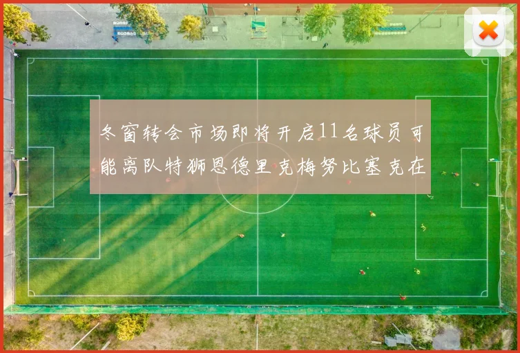冬窗转会市场即将开启11名球员可能离队特狮恩德里克梅努比塞克在列