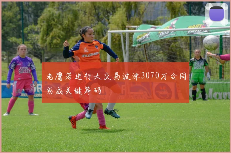 老鹰若进行大交易波津3070万合同或成关键筹码