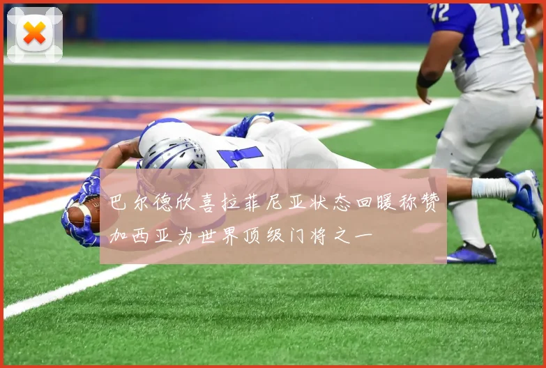 巴尔德欣喜拉菲尼亚状态回暖称赞加西亚为世界顶级门将之一